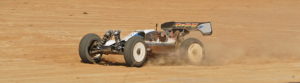 8th scalr8th scale nitro buggy nitro buggy